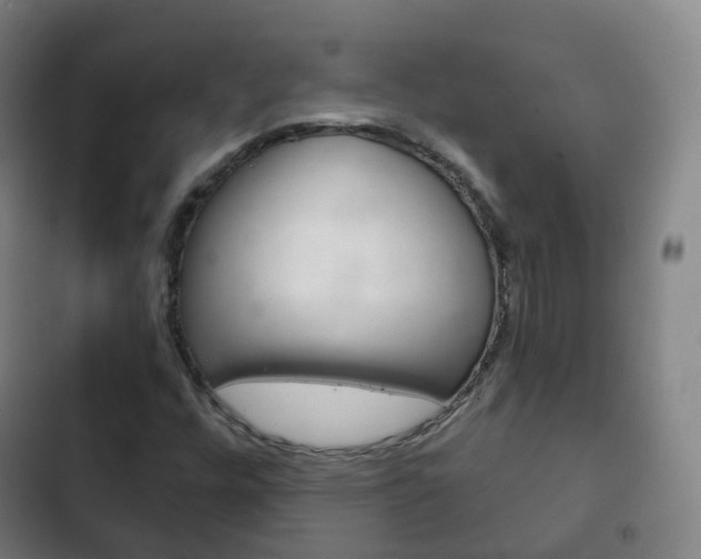 X0000103401448200809120913