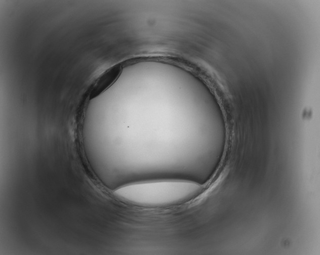 X0000103401449200809120913