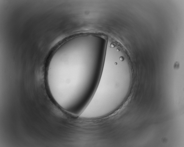 X0000103401450200809120913