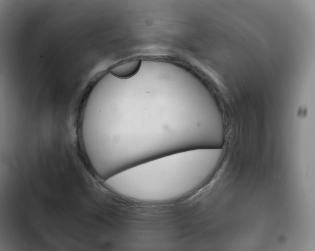 X0000103401451200809120913