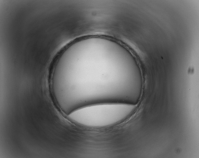 X0000103401452200809120913