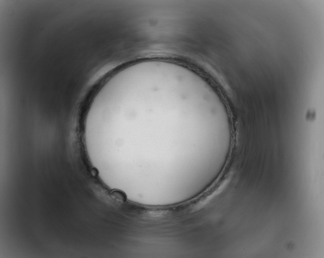 X0000103401453200809120913