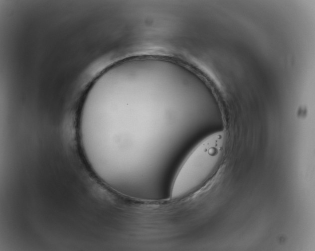 X0000103401455200809120913