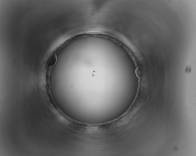 X0000103401456200809120912