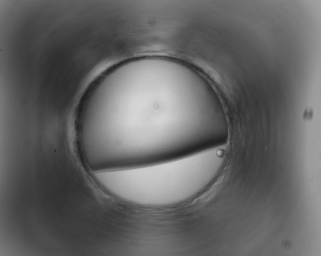 X0000103401458200809120912