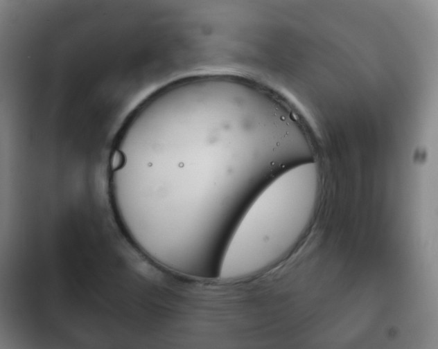 X0000103401460200809120912