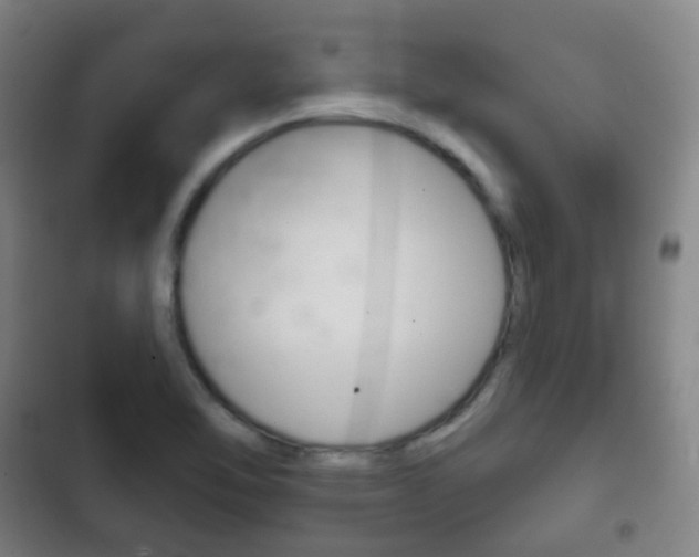 X0000103401462200809120912