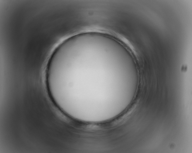 X0000103401463200809120912
