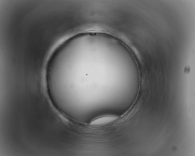 X0000103401464200809120912