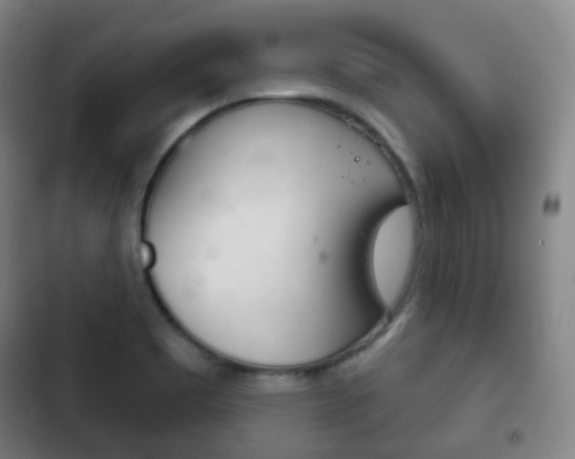 X0000103401465200809120912