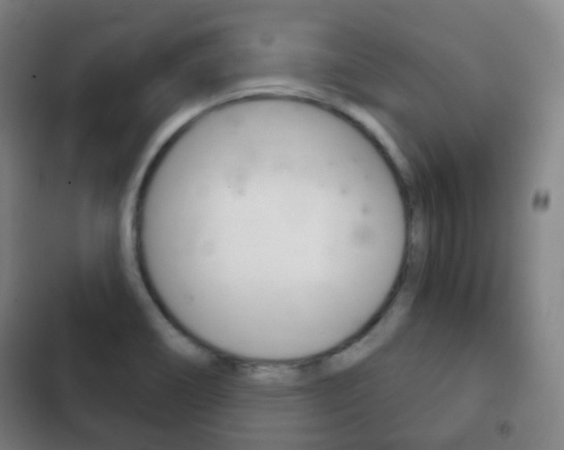 X0000103401466200809120912