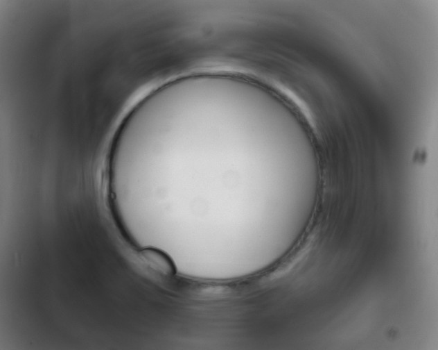 X0000103401467200809120912