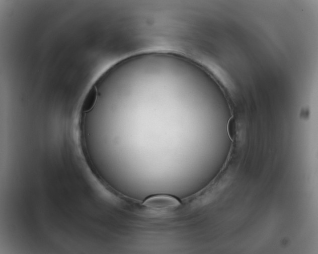 X0000103401468200809120912
