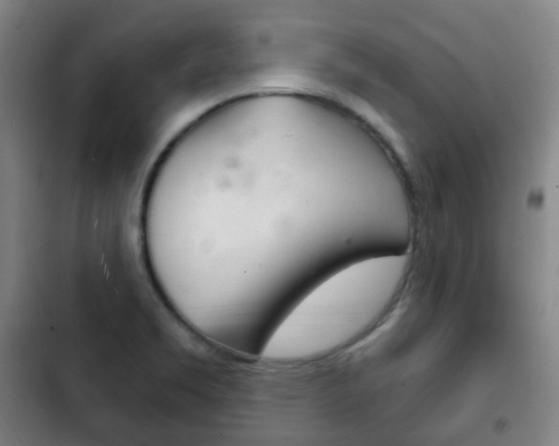 X0000103401469200809120912