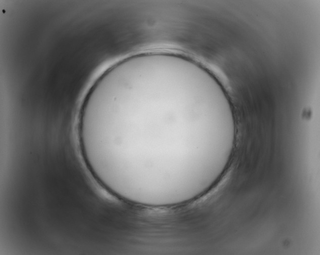 X0000103401470200809120912