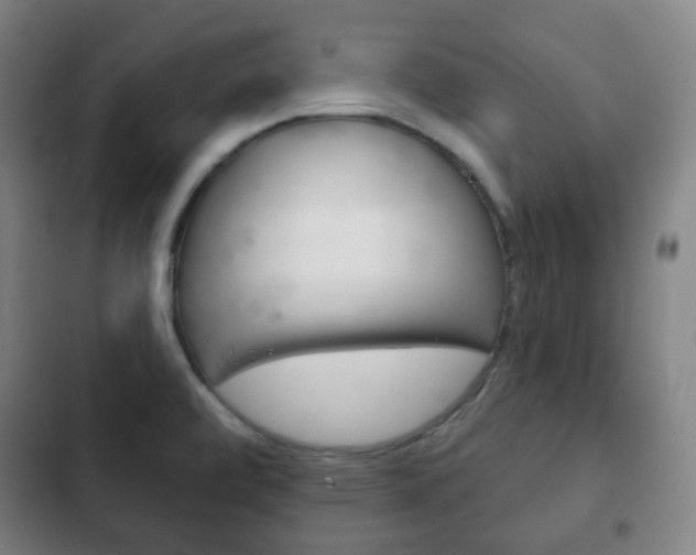 X0000103401472200809120912