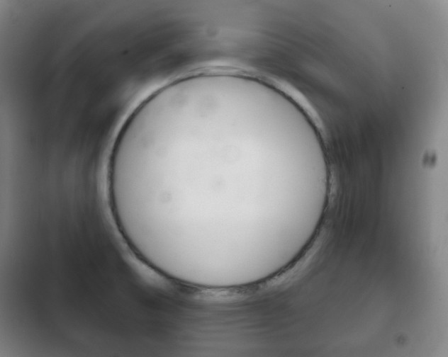 X0000103401474200809120912