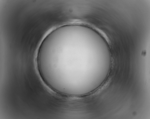 X0000103401475200809120912