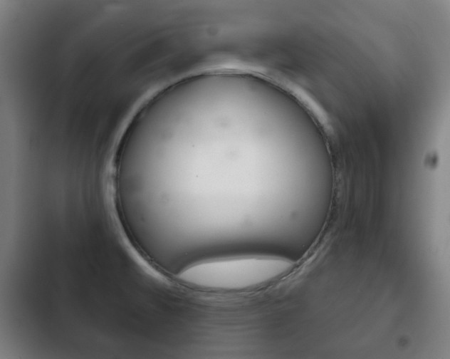 X0000103401476200809120912