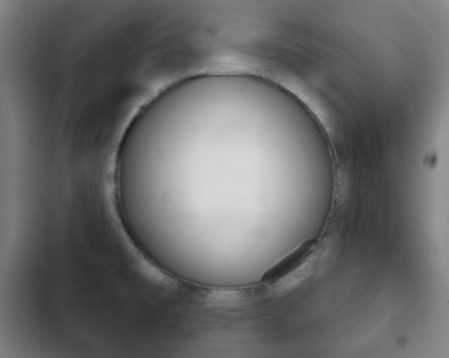 X0000103401477200809120912