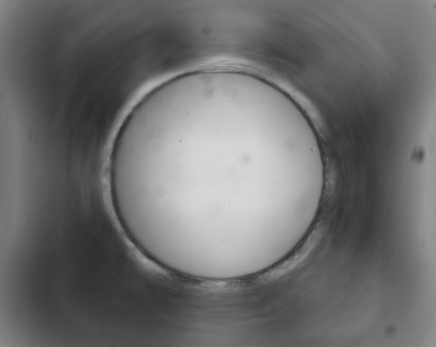 X0000103401478200809120912