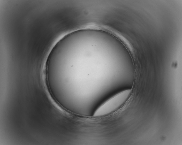 X0000103401479200809120912
