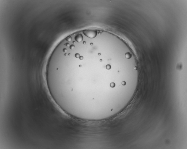 X0000103401480200809120912