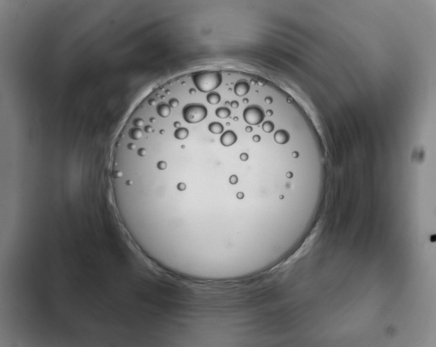 X0000103401481200809120912