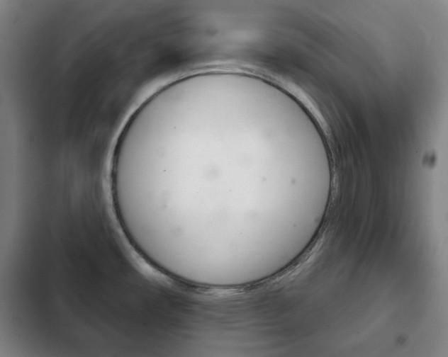X0000103401482200809120912