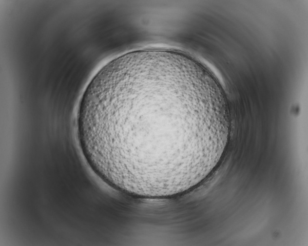 X0000103401483200809120912