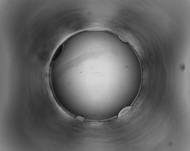 X0000103401484200809120912