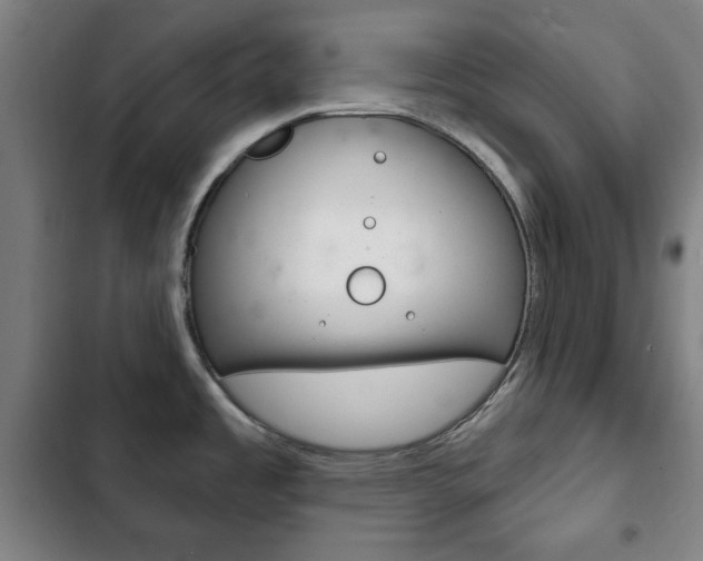X0000103401485200809120912