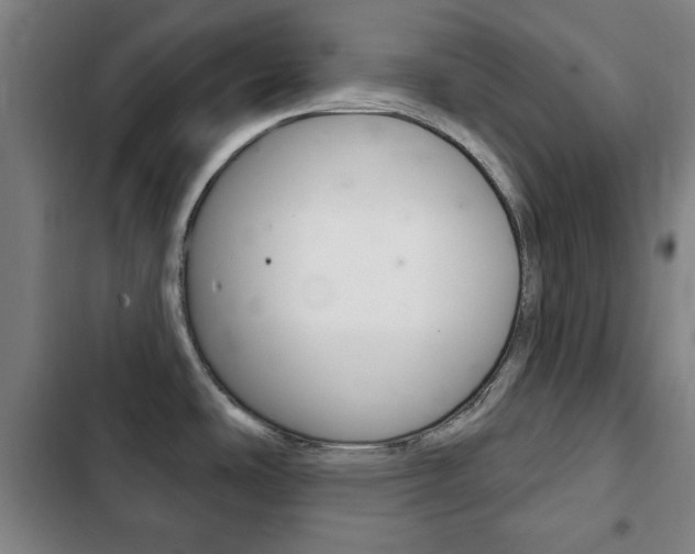 X0000103401486200809120912