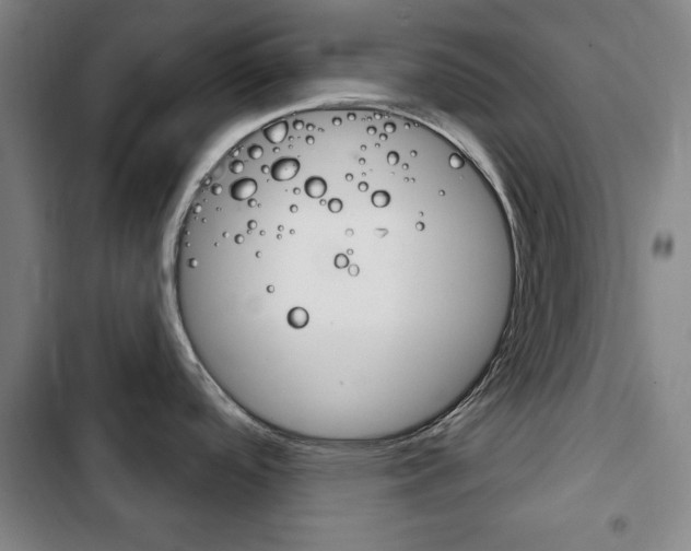 X0000103401488200809120912