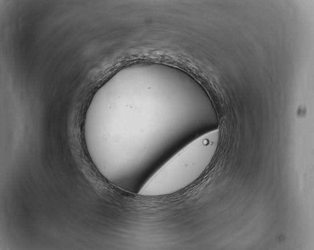 X0000103401489200809120911