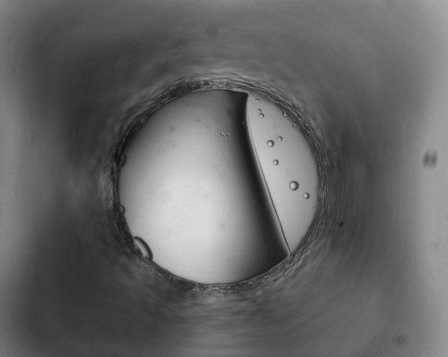 X0000103401493200809120911