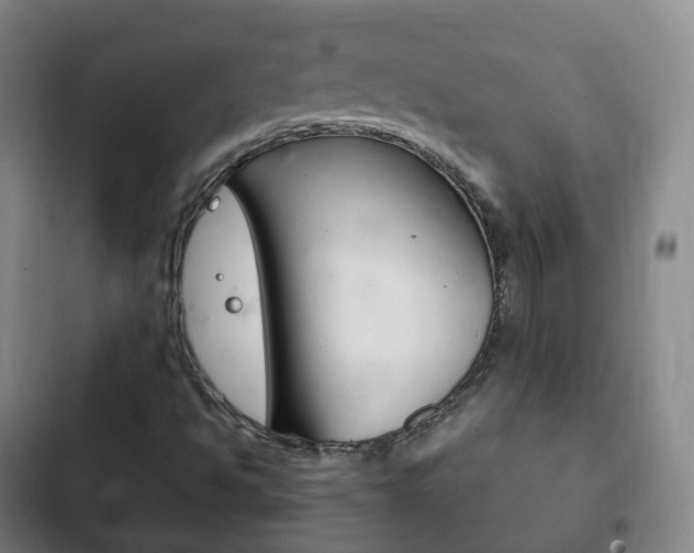 X0000103401494200809120911