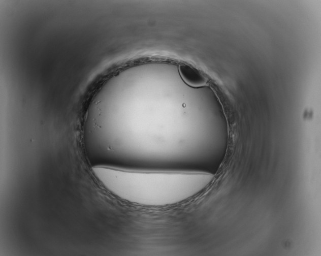 X0000103401495200809120911