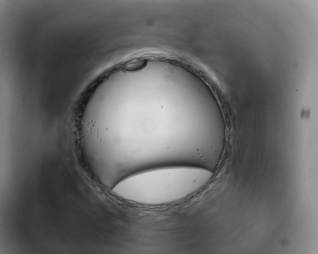 X0000103401496200809120911