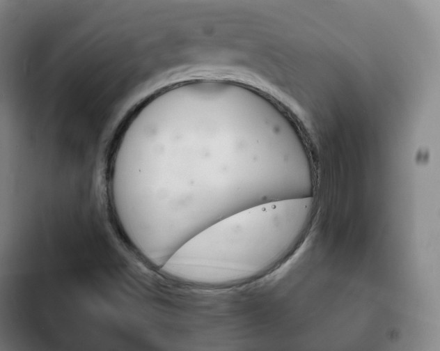 X0000103401498200809120911