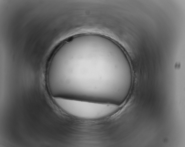 X0000103401499200809120911