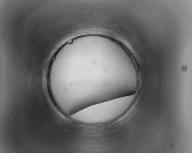 X0000103401500200809120911