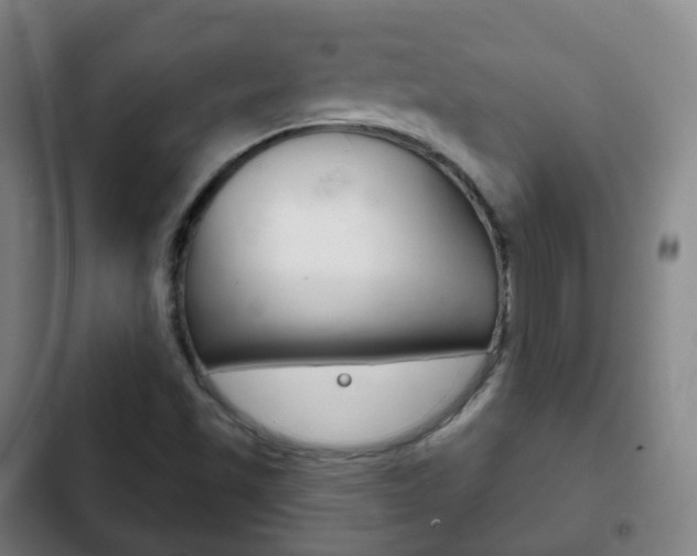 X0000103401501200809120911