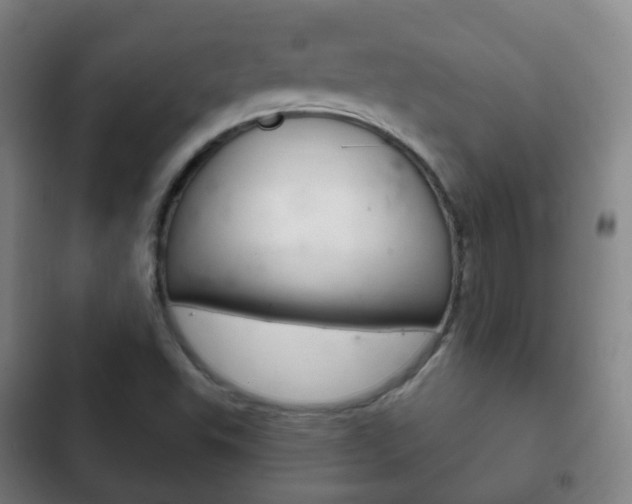 X0000103401503200809120912