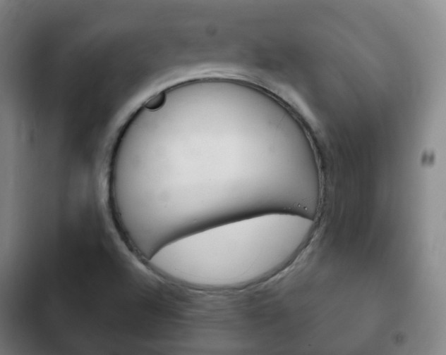 X0000103401504200809120912