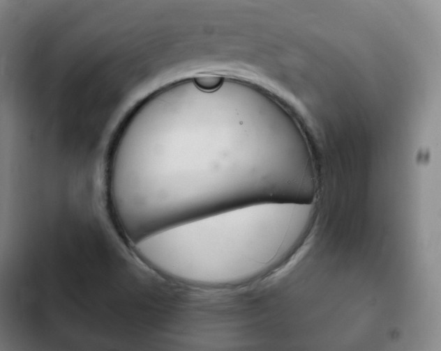 X0000103401506200809120912