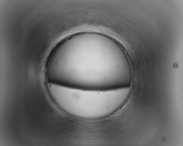 X0000103401507200809120912