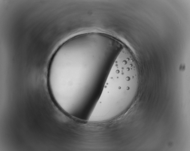 X0000103401508200809120912