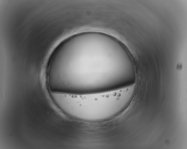 X0000103401511200809120912