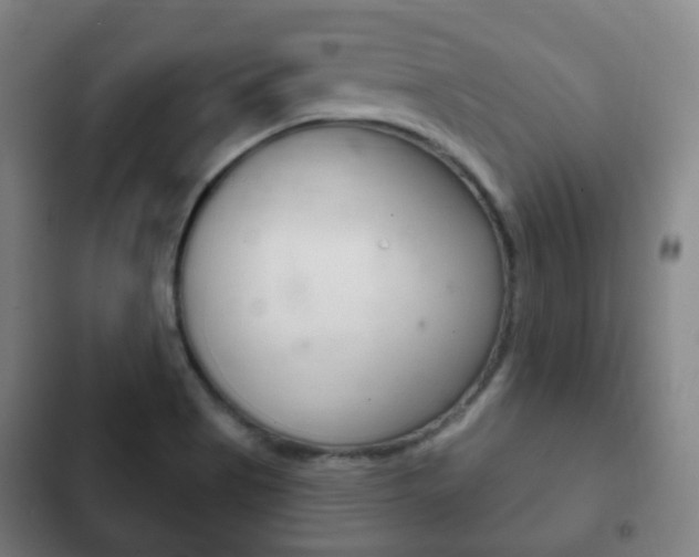 X0000103401513200809120912